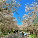 上海旅游 缩略图 6