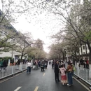 南京旅游 缩略图 5