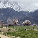 林芝旅游 缩略图 5