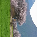 林芝旅游 缩略图 14