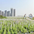 南昌旅游 缩略图 10