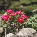 杭州旅游 缩略图 8