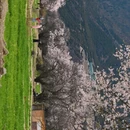 林芝旅游 缩略图 13