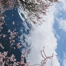 林芝旅游 缩略图 17
