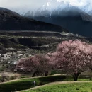 林芝旅游 缩略图 12