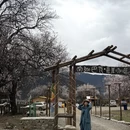 林芝旅游 缩略图 9