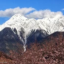 林芝旅游 缩略图 4