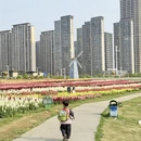 南昌旅游 缩略图 5