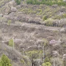 北京旅游 缩略图 7