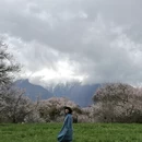 林芝旅游 缩略图 1