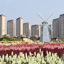 南昌旅游 缩略图 8