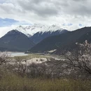林芝旅游 缩略图 17