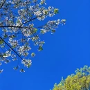 上海旅游 缩略图 4