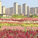 南昌旅游 缩略图 6