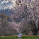 林芝旅游 缩略图 1