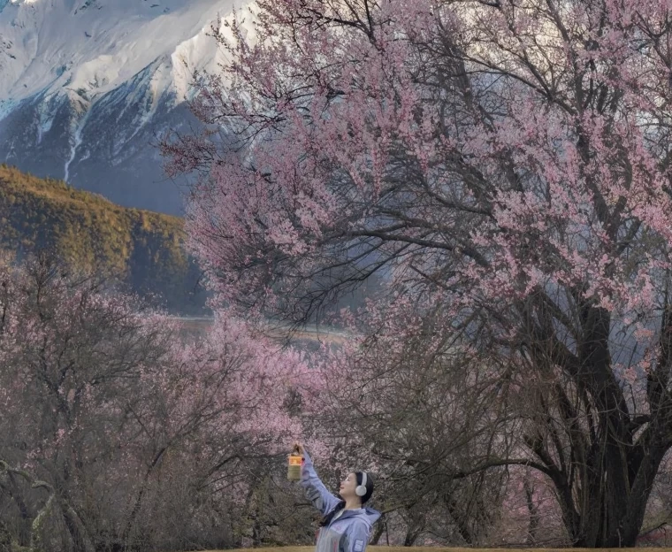 林芝旅游 1