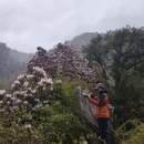 林芝旅游 缩略图 14