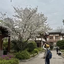 台州旅游 缩略图 4