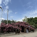成都旅游 缩略图 15