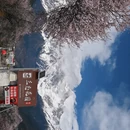 林芝旅游 缩略图 11