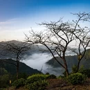 黄山旅游 缩略图 4