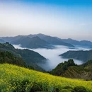 黄山旅游 缩略图 6
