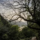 黄山旅游 缩略图 8