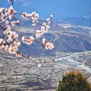 阿坝旅游 缩略图 8