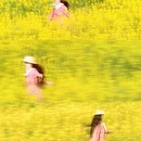 黄山旅游 缩略图 1