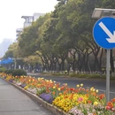 苏州旅游 缩略图 2