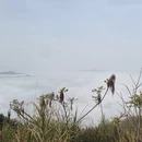 黄山旅游 缩略图 8