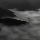 黄山旅游 缩略图 11