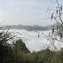 黄山旅游 缩略图 9