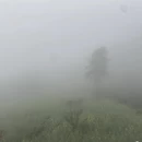 黄山旅游 缩略图 11