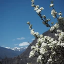 阿坝旅游 缩略图 15