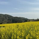 黄山旅游 缩略图 8