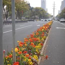 苏州旅游 缩略图 4