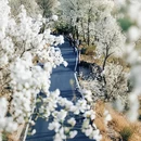 阿坝旅游 缩略图 2