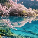 成都旅游 缩略图 5