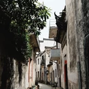 黄山旅游 缩略图 4