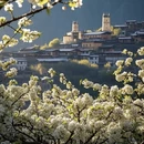 阿坝旅游 缩略图 5