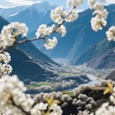 阿坝旅游 缩略图 3