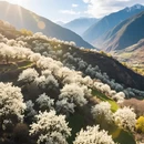 阿坝旅游 缩略图 4