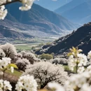 阿坝旅游 缩略图 2