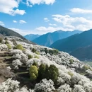 阿坝旅游 缩略图 5