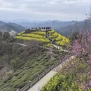 黄山旅游 缩略图 2