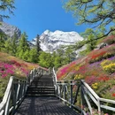 甘孜旅游 缩略图 2