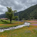 甘孜旅游 缩略图 6