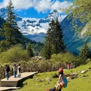 成都旅游 缩略图 2