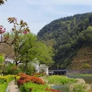 黄山旅游 缩略图 1
